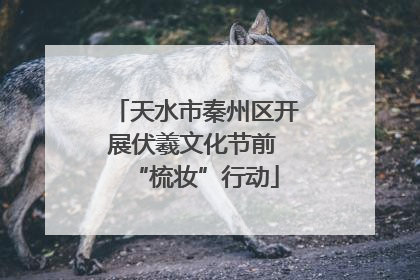 天水市秦州区开展伏羲文化节前 “梳妆”行动