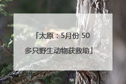太原：5月份 50多只野生动物获救助