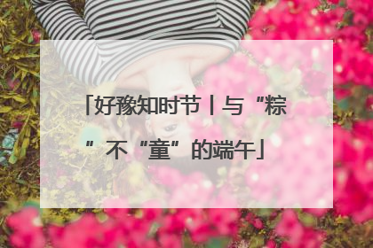 好豫知时节丨与“粽”不“童”的端午