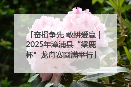 奋楫争先 敢拼爱赢｜2025年漳浦县“梁鹿杯”龙舟赛圆满举行