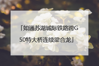 如通苏湖城际铁路跨G50特大桥连续梁合龙