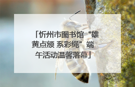 忻州市图书馆“雄黄点额 系彩绳”端午活动温馨落幕