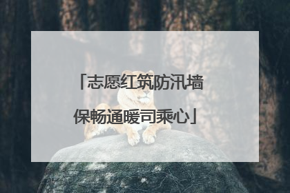 志愿红筑防汛墙 保畅通暖司乘心