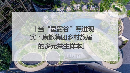 当“星露谷”照进现实：康旅集团乡村旅居的多元共生样本