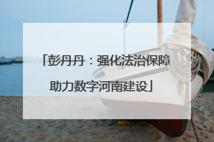 彭丹丹：强化法治保障 助力数字河南建设