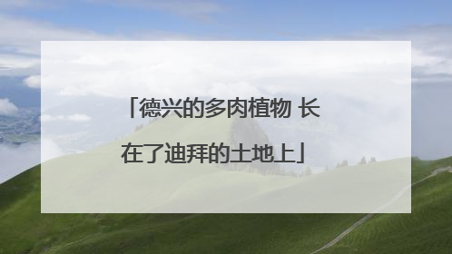 德兴的多肉植物 长在了迪拜的土地上