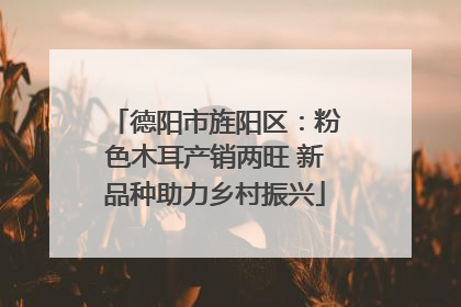 德阳市旌阳区：粉色木耳产销两旺 新品种助力乡村振兴