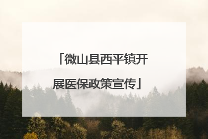 微山县西平镇开展医保政策宣传