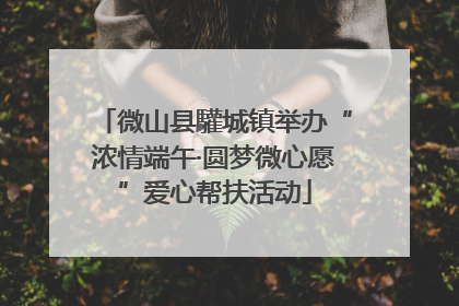 微山县驩城镇举办“浓情端午·圆梦微心愿”爱心帮扶活动