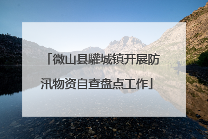 微山县驩城镇开展防汛物资自查盘点工作