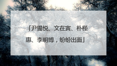 尹锡悦、文在寅、朴槿惠、李明博，纷纷出面