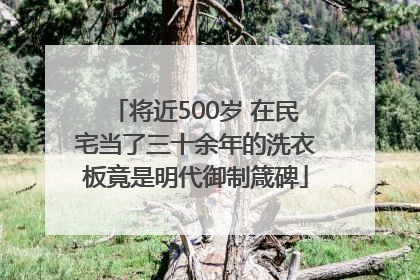 将近500岁 在民宅当了三十余年的洗衣板竟是明代御制箴碑