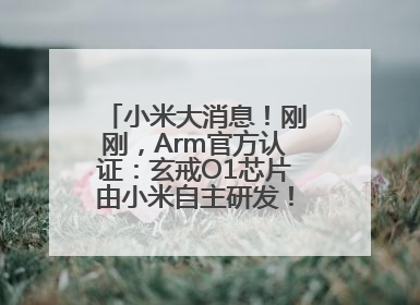 小米大消息！刚刚，Arm官方认证：玄戒O1芯片由小米自主研发！雷军此前称已开始大规模量产