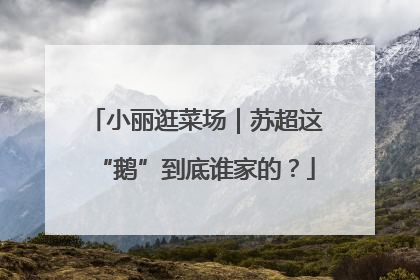 小丽逛菜场｜苏超这“鹅”到底谁家的？