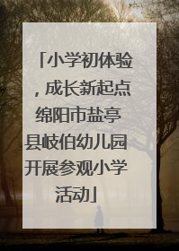 小学初体验，成长新起点 绵阳市盐亭县岐伯幼儿园开展参观小学活动