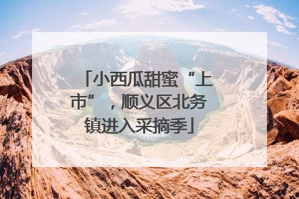 小西瓜甜蜜“上市”，顺义区北务镇进入采摘季