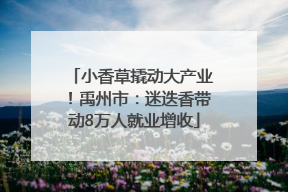 小香草撬动大产业！禹州市：迷迭香带动8万人就业增收