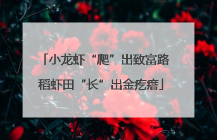 小龙虾“爬”出致富路 稻虾田“长”出金疙瘩