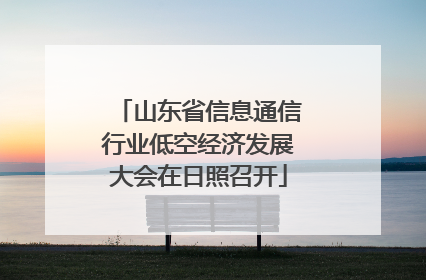 山东省信息通信行业低空经济发展大会在日照召开