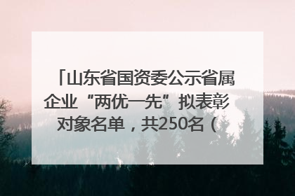 山东省国资委公示省属企业“两优一先”拟表彰对象名单，共250名（个）党员和党组织