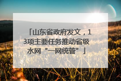 山东省政府发文，13项主要任务推动省级水网“一网统管”