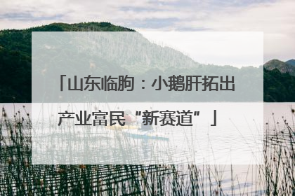 山东临朐：小鹅肝拓出产业富民“新赛道”