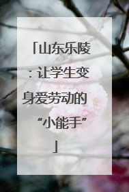 山东乐陵：让学生变身爱劳动的“小能手”