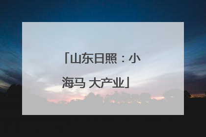 山东日照：小海马 大产业
