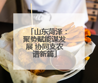 山东菏泽：聚势赋能谋发展 协同支农谱新篇