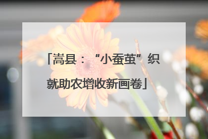 嵩县：“小蚕茧”织就助农增收新画卷