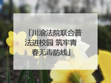 川渝法院联合普法进校园 筑牢青春无毒防线