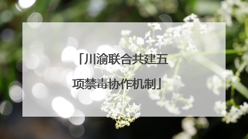 川渝联合共建五项禁毒协作机制