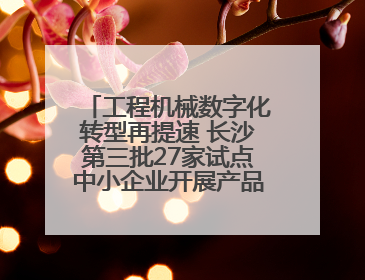 工程机械数字化转型再提速 长沙第三批27家试点中小企业开展产品供需对接