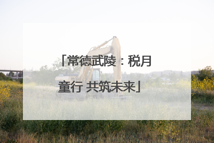 常德武陵：税月童行 共筑未来
