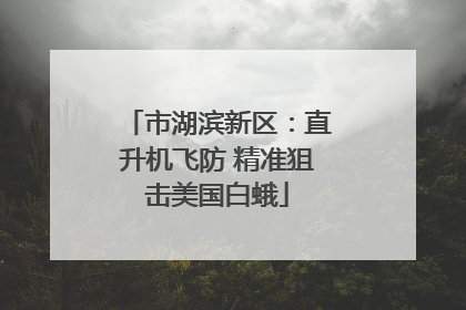 市湖滨新区：直升机飞防 精准狙击美国白蛾