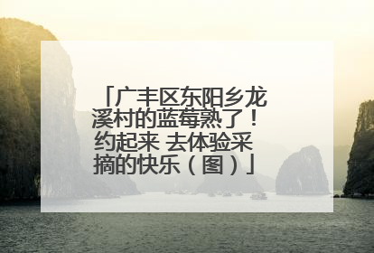 广丰区东阳乡龙溪村的蓝莓熟了！约起来 去体验采摘的快乐（图）