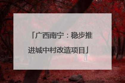 广西南宁：稳步推进城中村改造项目