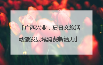 广西兴业：夏日文旅活动激发县域消费新活力