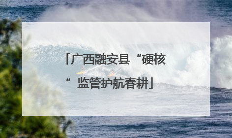 广西融安县“硬核”监管护航春耕