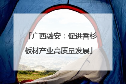 广西融安：促进香杉板材产业高质量发展