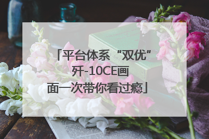 平台体系“双优”  歼-10CE画面一次带你看过瘾