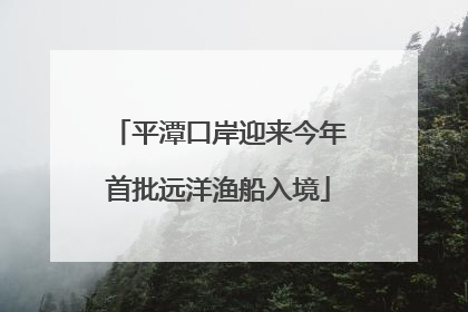 平潭口岸迎来今年首批远洋渔船入境