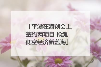 平潭在海创会上签约两项目 抢滩低空经济新蓝海