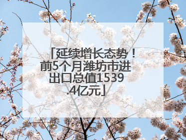 延续增长态势！前5个月潍坊市进出口总值1539.4亿元
