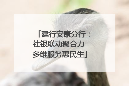 建行安康分行：社银联动聚合力 多维服务惠民生