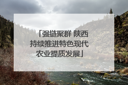 强链聚群 陕西持续推进特色现代农业提质发展