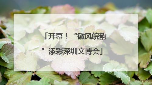 开幕！“徽风皖韵”添彩深圳文博会