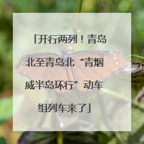 开行两列！青岛北至青岛北“青烟威半岛环行”动车组列车来了