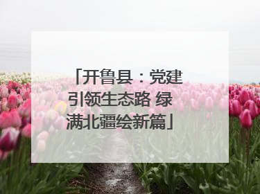 开鲁县：党建引领生态路 绿满北疆绘新篇