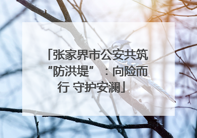 张家界市公安共筑“防洪堤”：向险而行 守护安澜